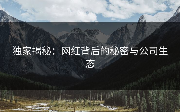 独家揭秘：网红背后的秘密与公司生态