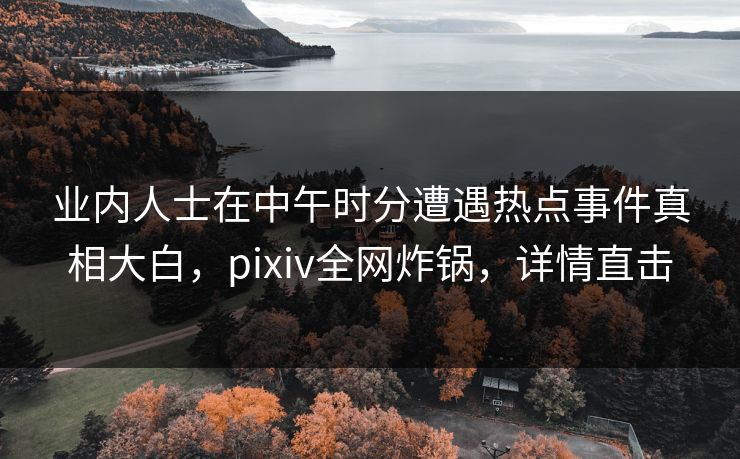 业内人士在中午时分遭遇热点事件真相大白，pixiv全网炸锅，详情直击