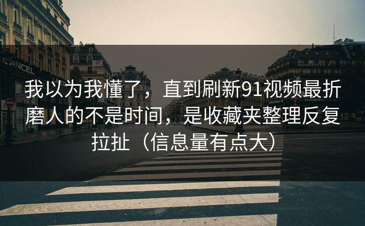 我以为我懂了，直到刷新91视频最折磨人的不是时间，是收藏夹整理反复拉扯（信息量有点大）